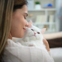 Cat 2