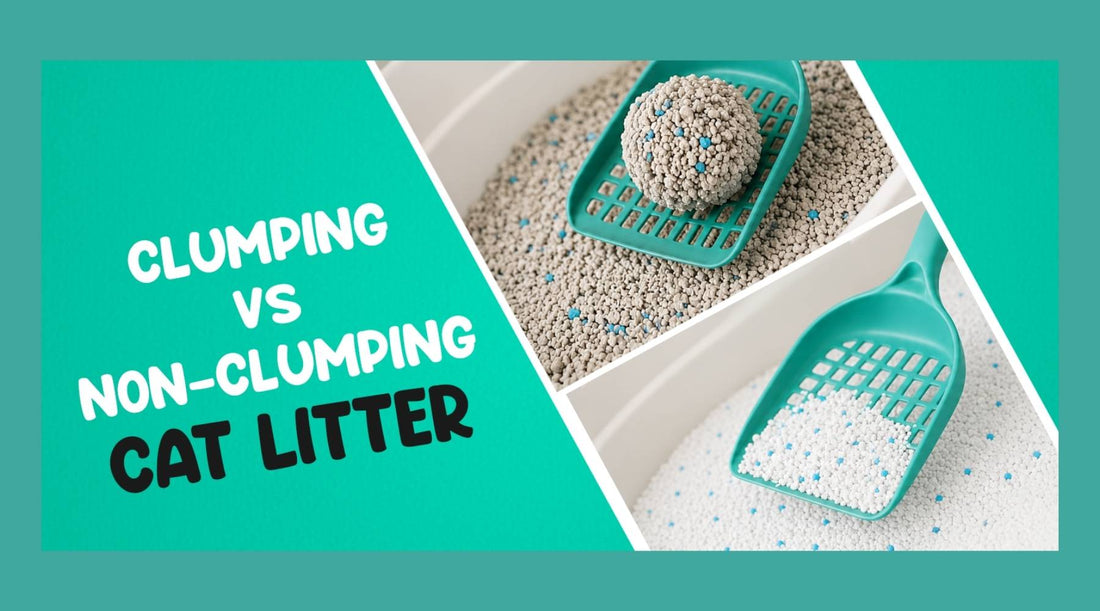 Clumping vs Non‑Clumping Cat Litter