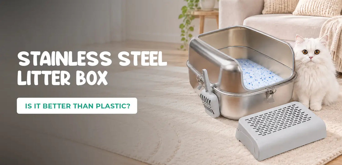 Stainless Steel Litter Box: Is It Better Than Plastic One