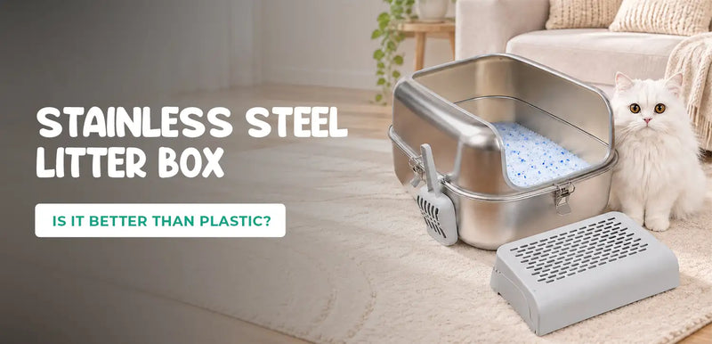 Stainless Steel Litter Box: Is It Better Than Plastic One