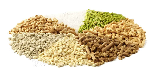 Types of Cat Litter