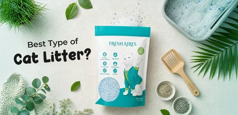 Best Type of Cat Litter? 9 Cat Litter Options Explained