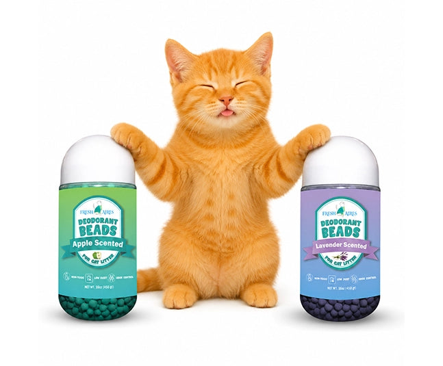 Fresh Aires cat