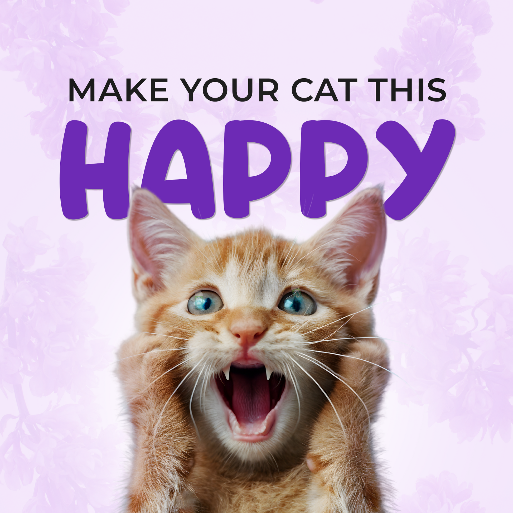 Make you cat happy with best cat litter deodorizer