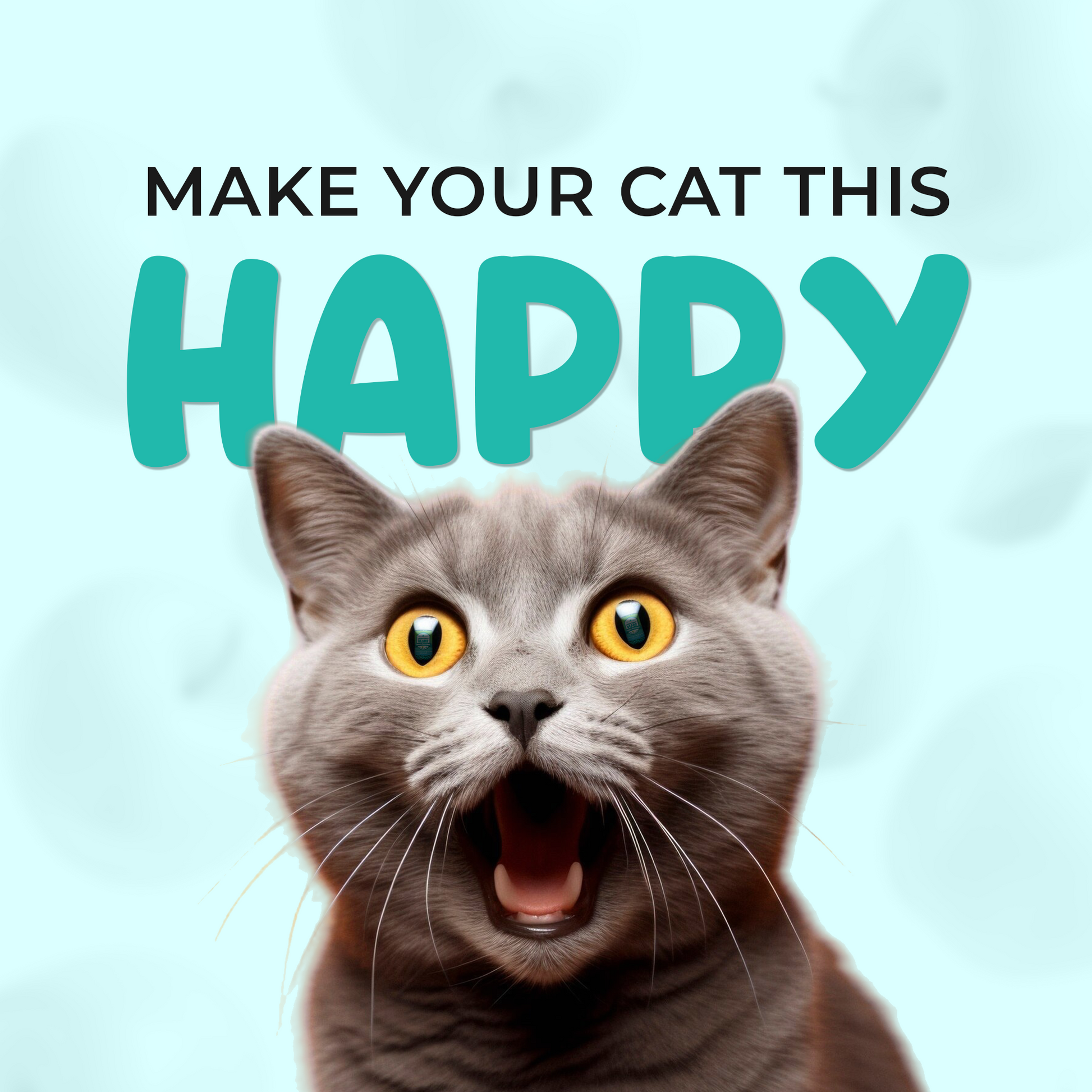Make Cat Happy