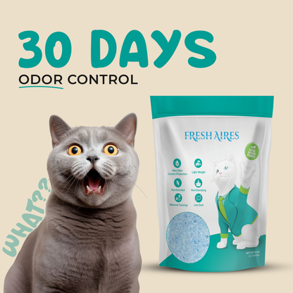 absorbent cat litter